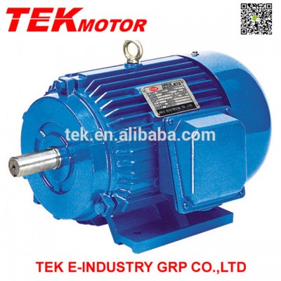 Y Series Three-phase 2 pole Motor